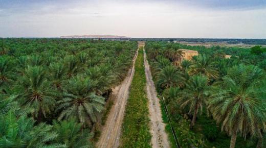 أوامر ملكية بتطوير محافظتي الأحساء والطائف