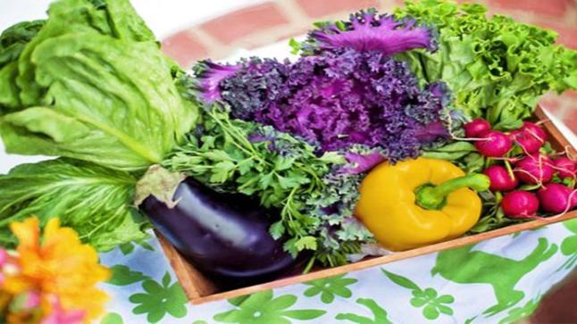 سعود الطبية ..توضح الفرق بين الطعام العضوي والطبيعي