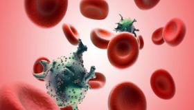 أهم ما يمكن معرفته عن مرض الإيدز في اليوم العالمي له