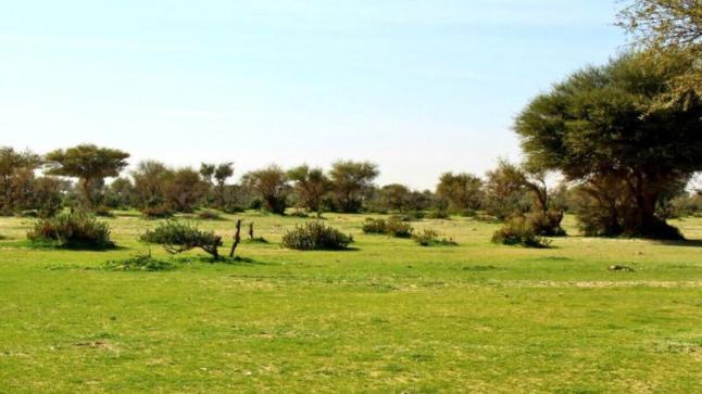 هيئة التطوير تمنع التنزه بالتيسيه